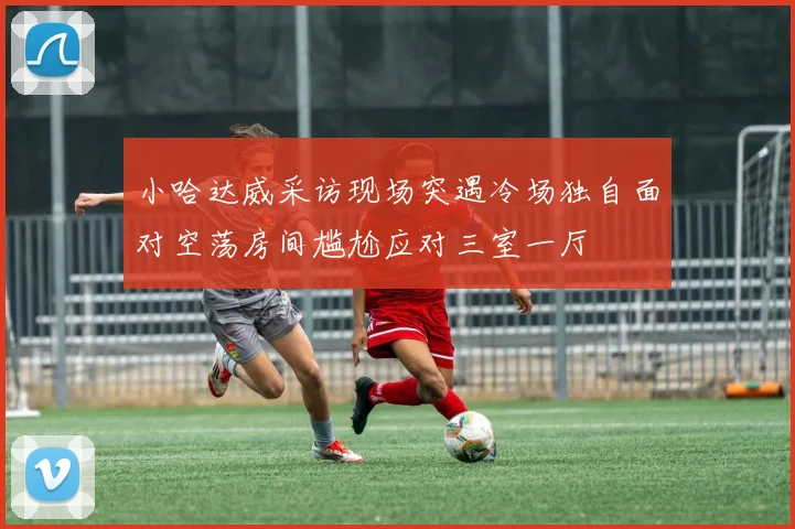 小哈达威采访现场突遇冷场独自面对空荡房间尴尬应对三室一厅