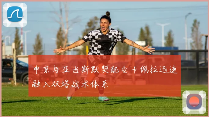 申京与亚当斯默契配合卡佩拉迅速融入双塔战术体系
