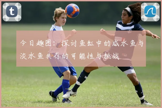 今日趣图：探讨鱼缸中的咸水鱼与淡水鱼共存的可能性与挑战